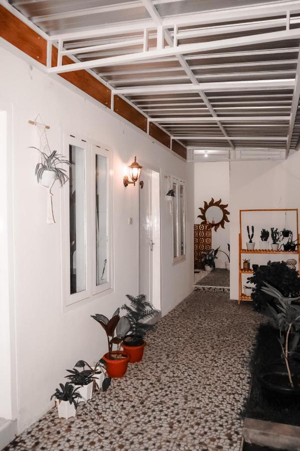 Tropical Paradiso Homestay Banyuwangi  Exteriör bild